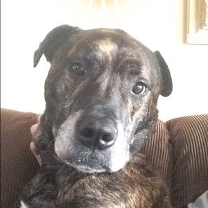 Meet your Posher, Disco